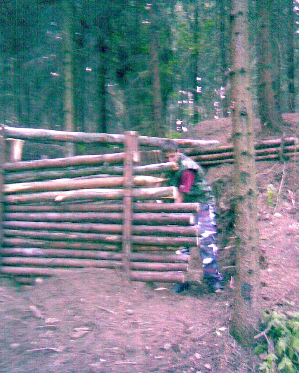 Obraz005.jpg
